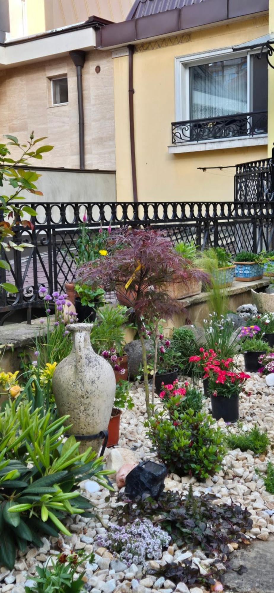 Luxury Private House In City Center Veliko Tărnovo Camera foto